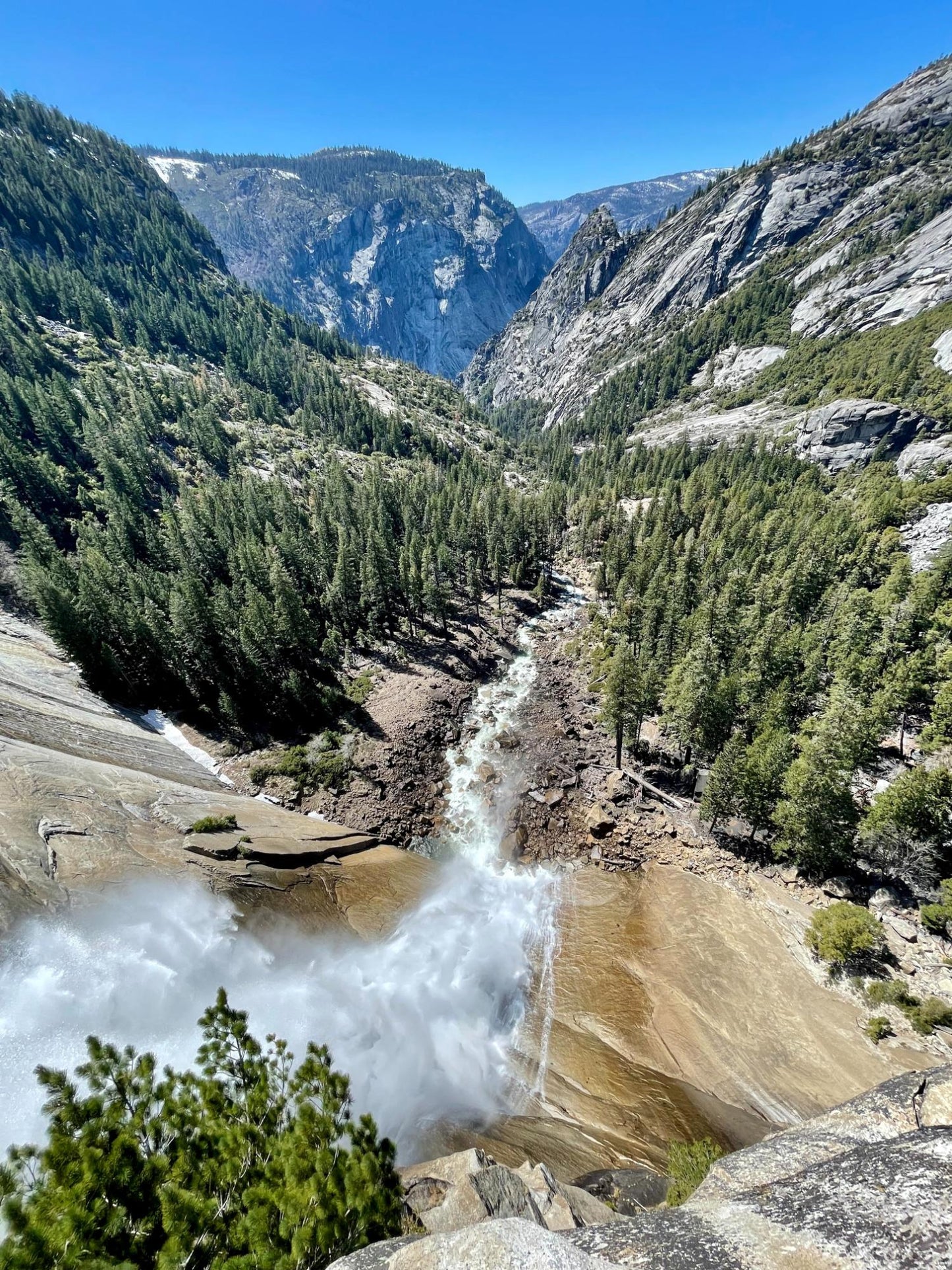 Yosemite National Park 266