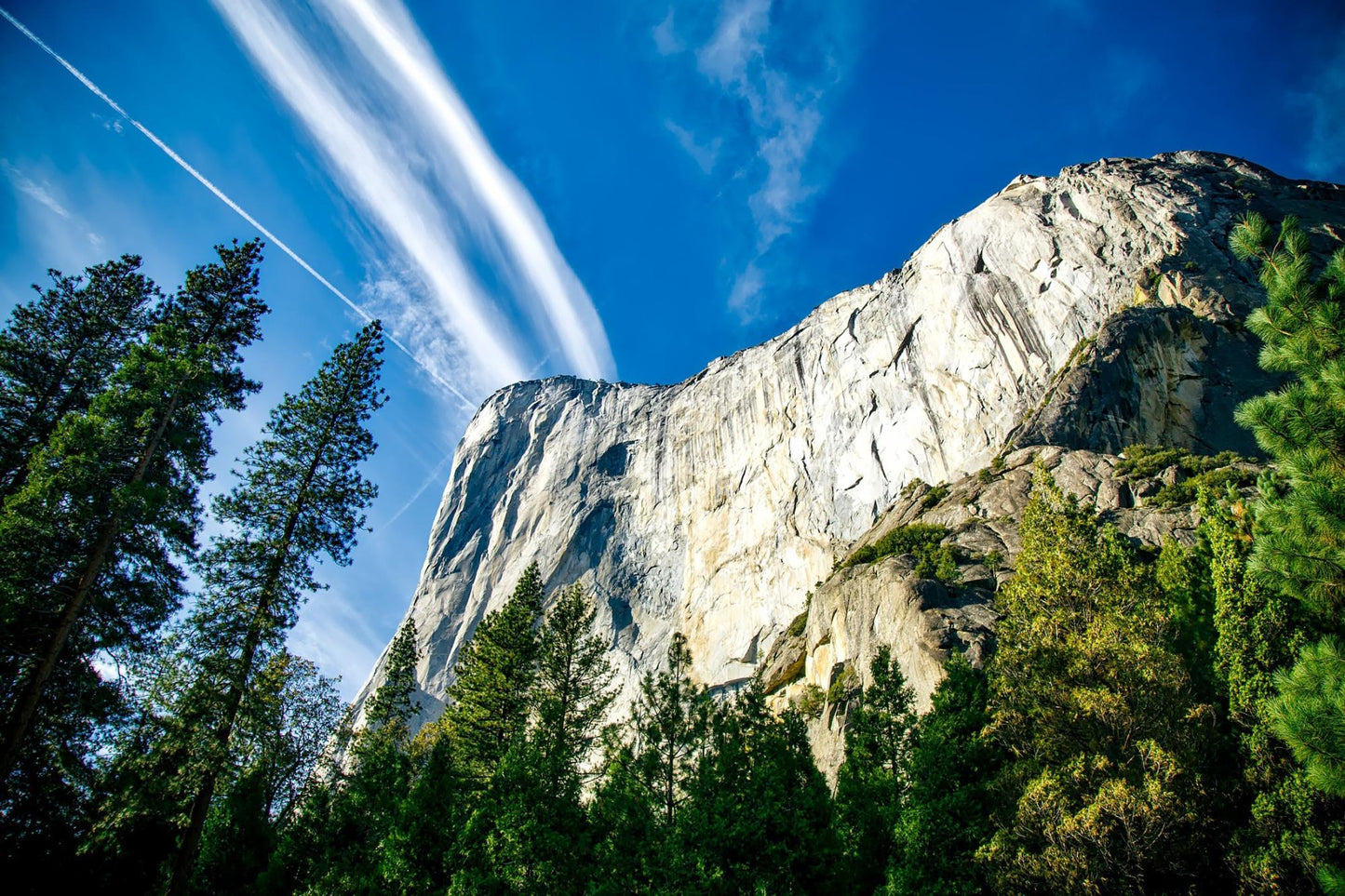 Yosemite National Park 268