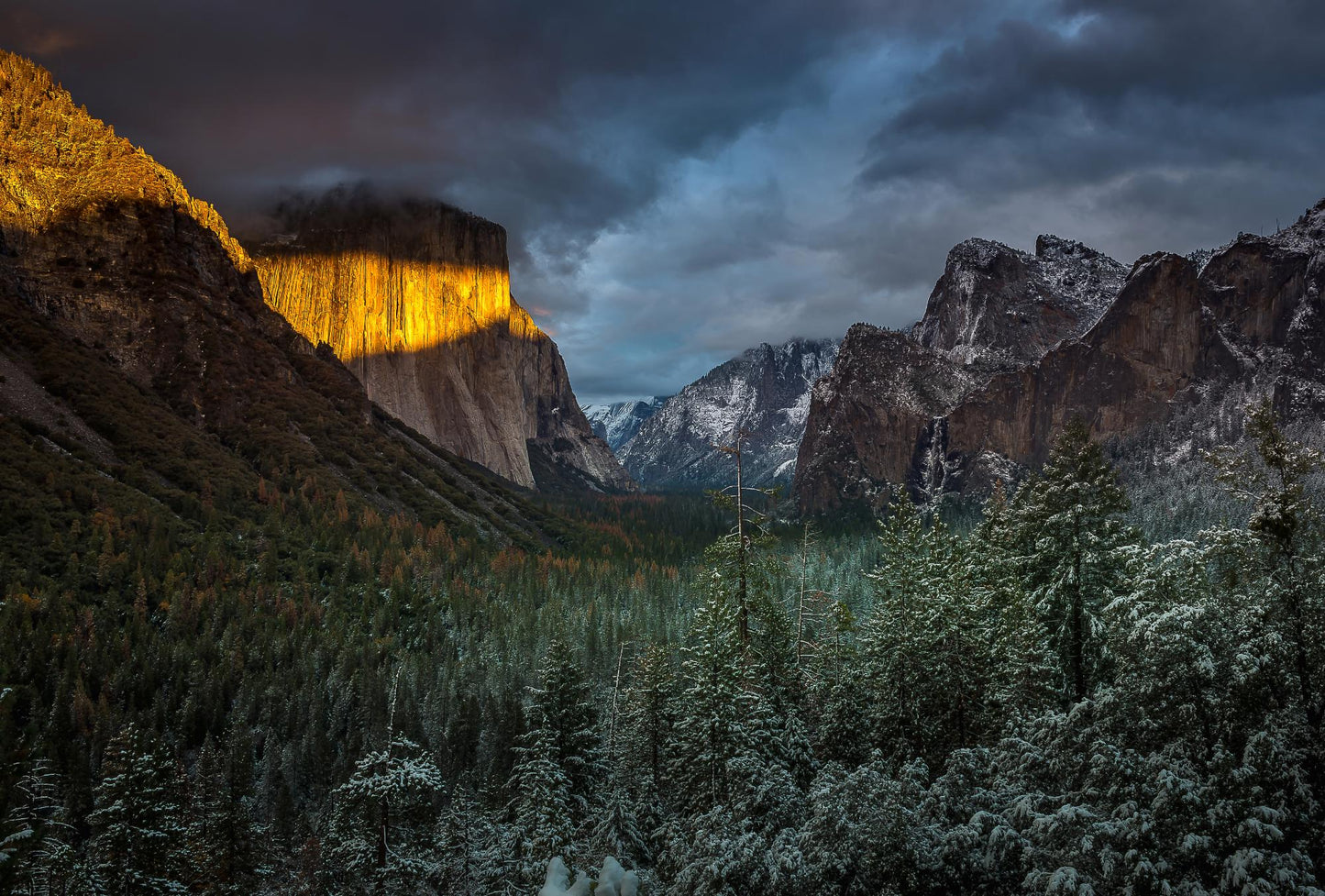 Yosemite National Park 240