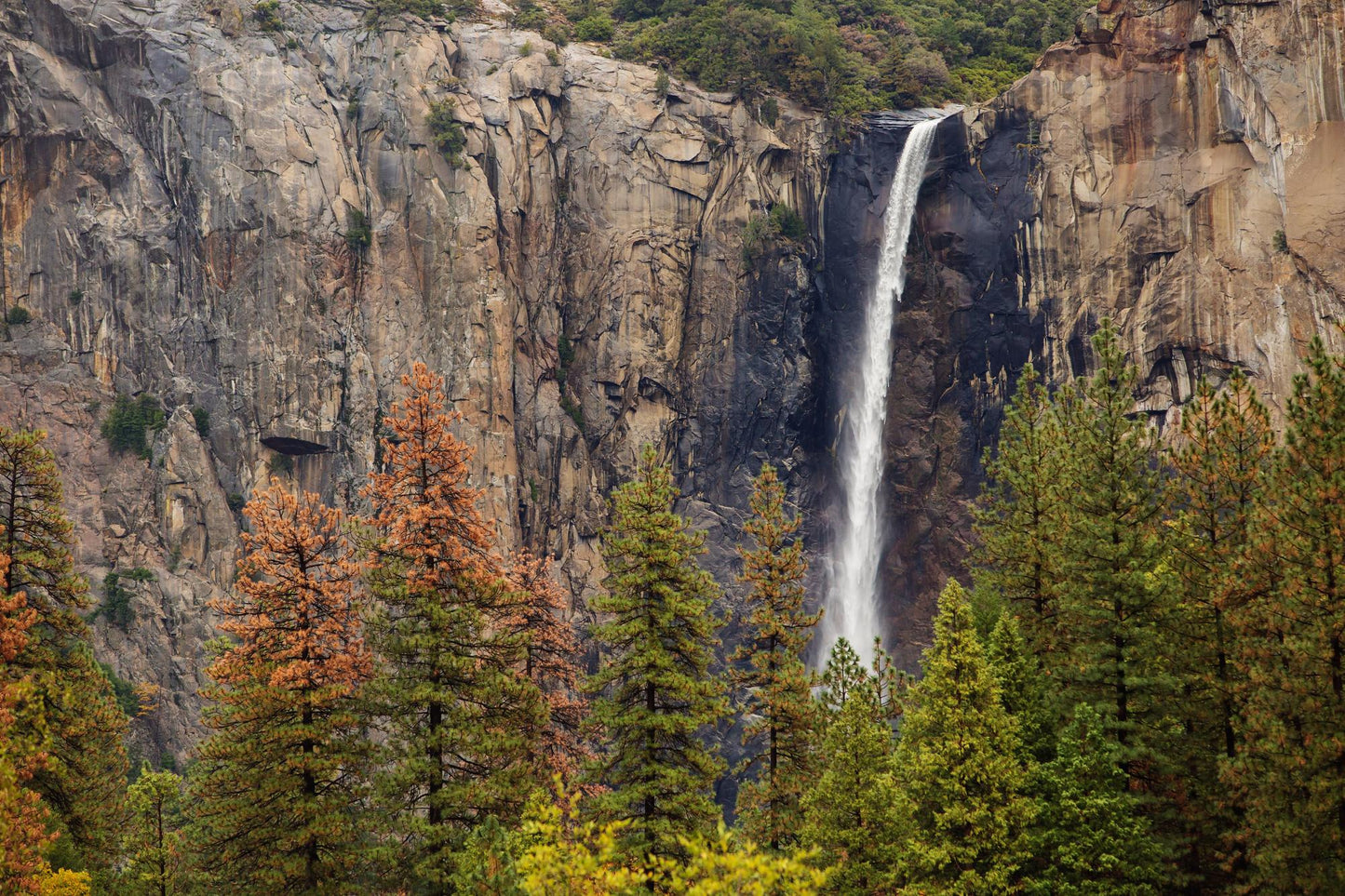 Yosemite National Park 249