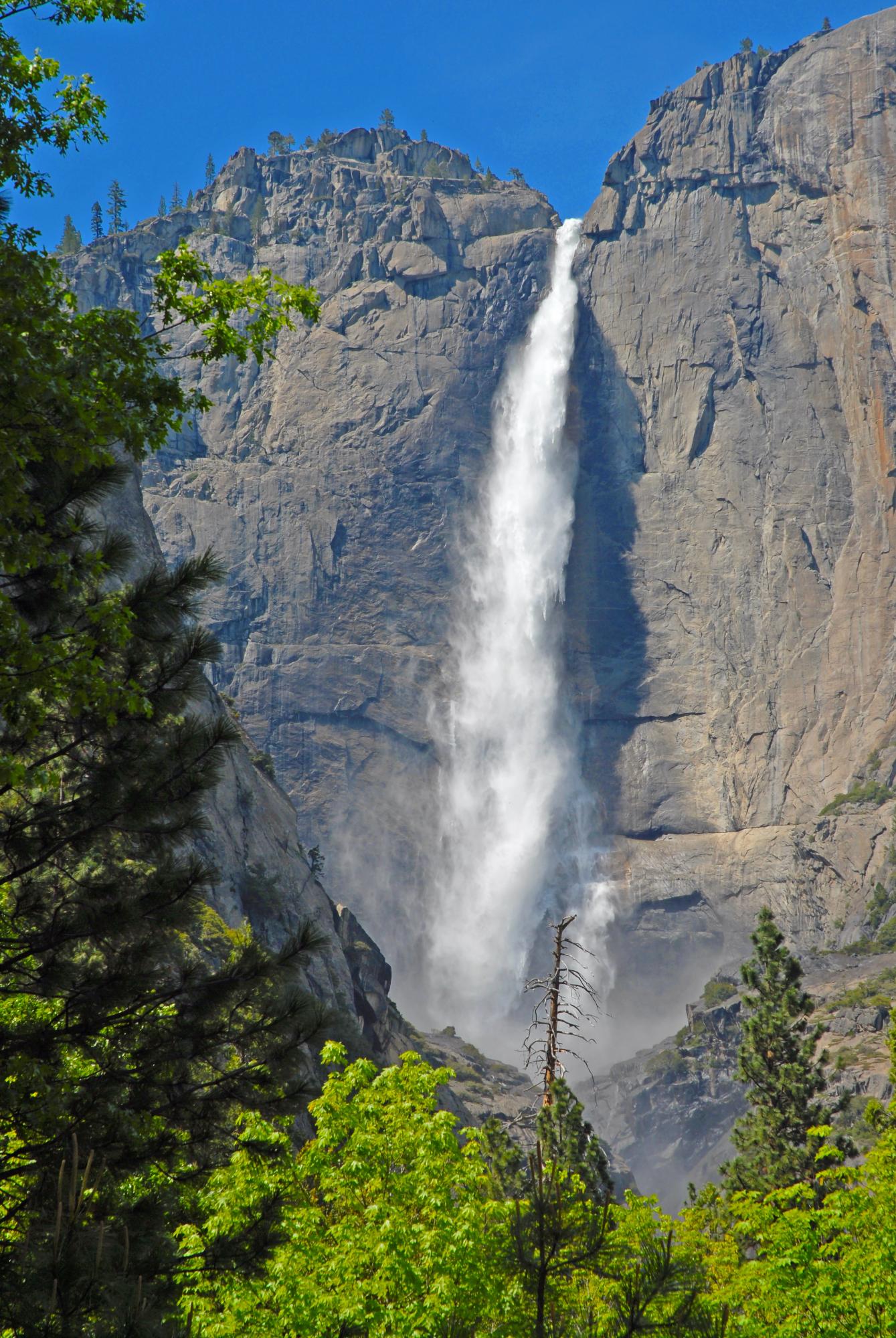 Yosemite National Park 250