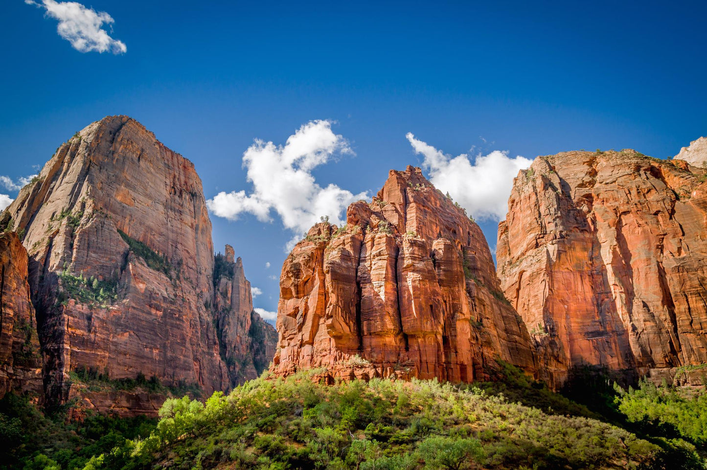 Zion National Park Utah 5600